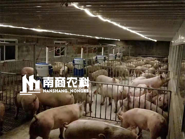 傳統(tǒng)人工養(yǎng)殖即將被取代，智能養(yǎng)殖大勢所趨，小智倌嶄露頭角