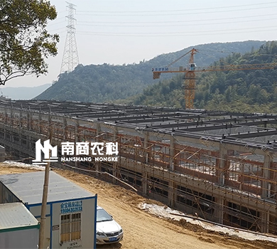 南商農(nóng)科：浙江湖州高樓年出欄10萬(wàn)頭豬場(chǎng)