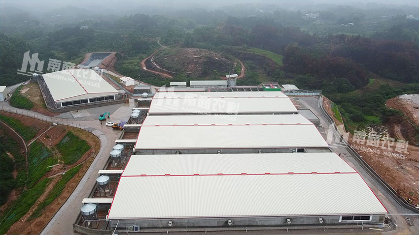 海大平南9000頭育肥場