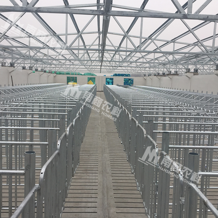 母豬限位欄設(shè)備