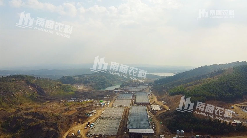 新希望貴港16500頭快速母豬場