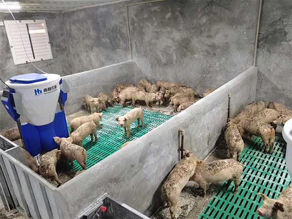 500頭母豬的養豬場全套設備那里賣的，多少錢一套？