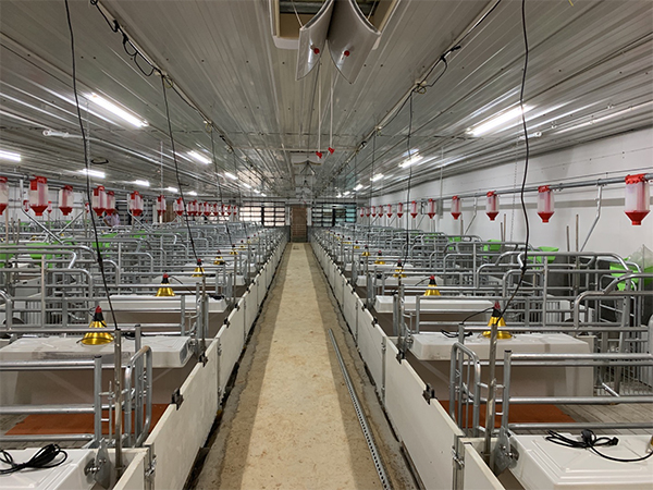 哺乳舍新型母豬產床規格大小