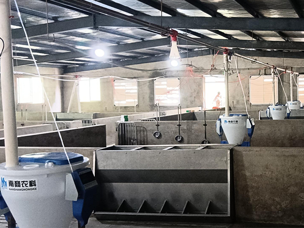 選購(gòu)自動(dòng)化養(yǎng)豬食槽，哪個(gè)品牌供應(yīng)商比較好？