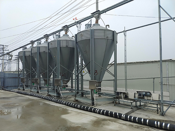 養(yǎng)豬場(chǎng)設(shè)備自動(dòng)料線類型與優(yōu)勢(shì)