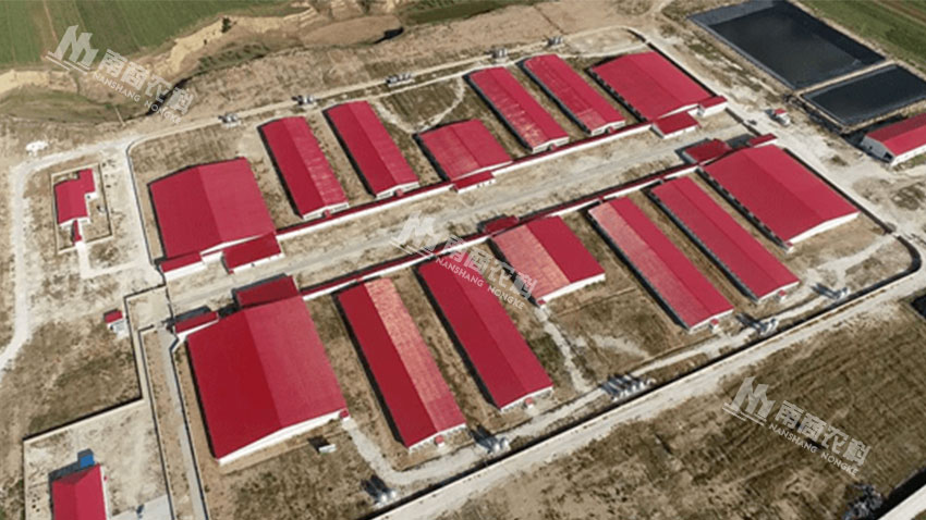 山西大同天鎮原種豬繁育項目