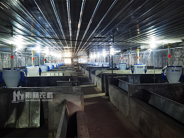 規?；F代化養豬設備的發展趨勢