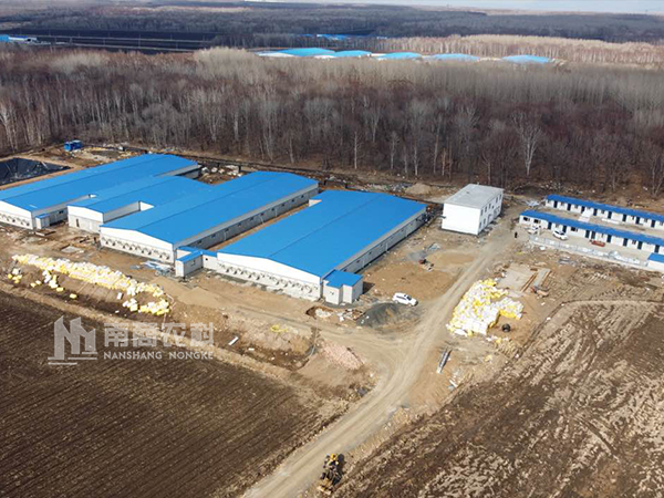 新豬場建設(shè)&老豬場改造注意要點