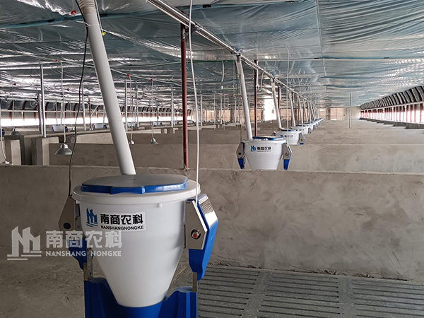 河南智能化精準(zhǔn)飼喂系統(tǒng)廠家哪個好