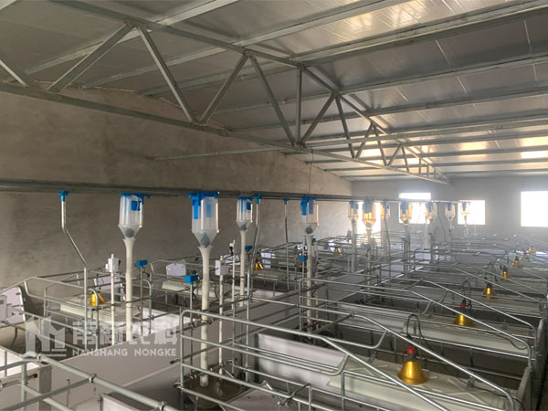 現代化養豬場如何控制成本？