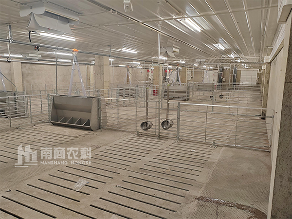 建設(shè)1000頭育肥舍，需要的投資預(yù)算多少？