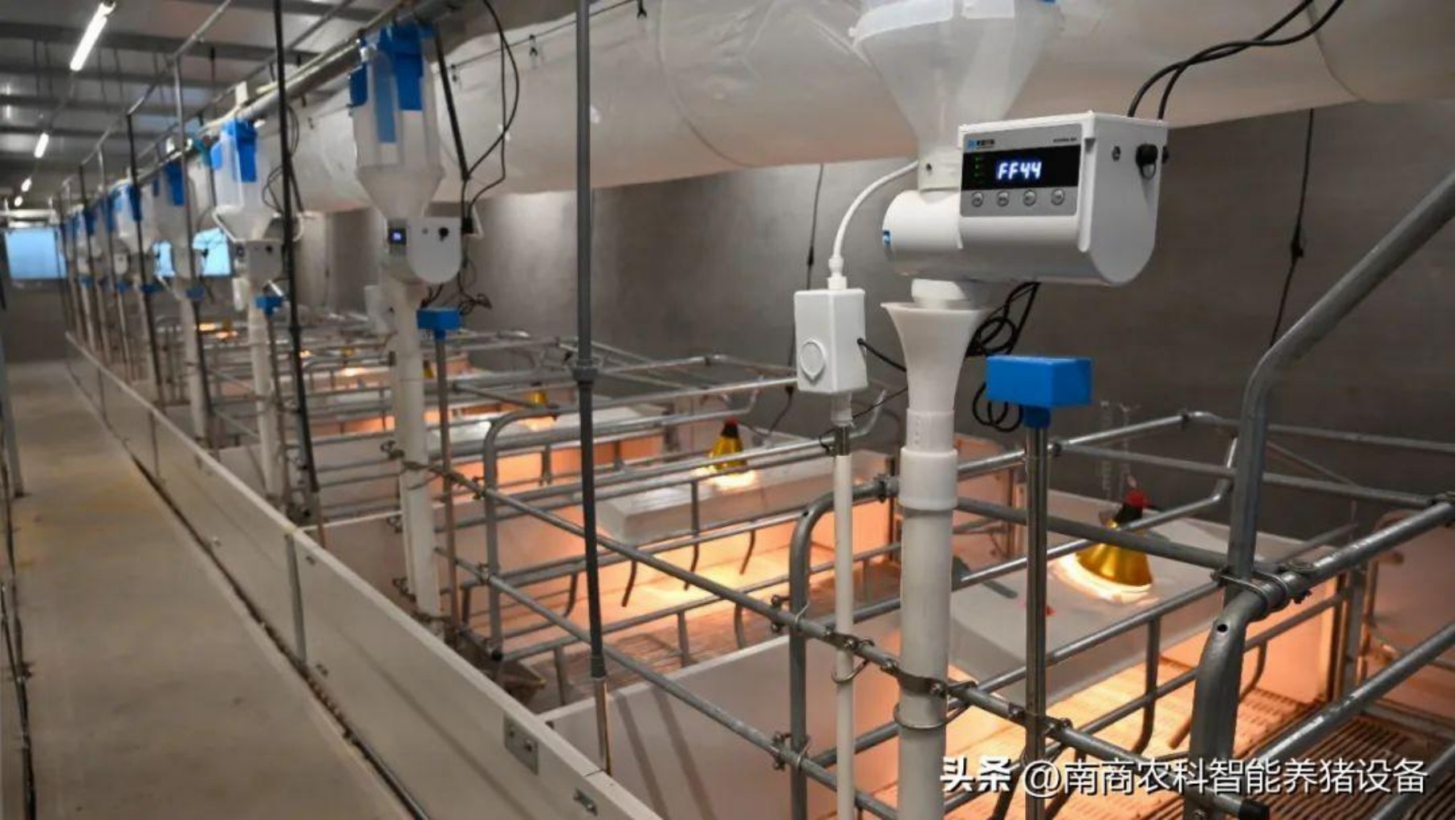 要想養(yǎng)豬效益高，母豬產(chǎn)床仔細(xì)挑！