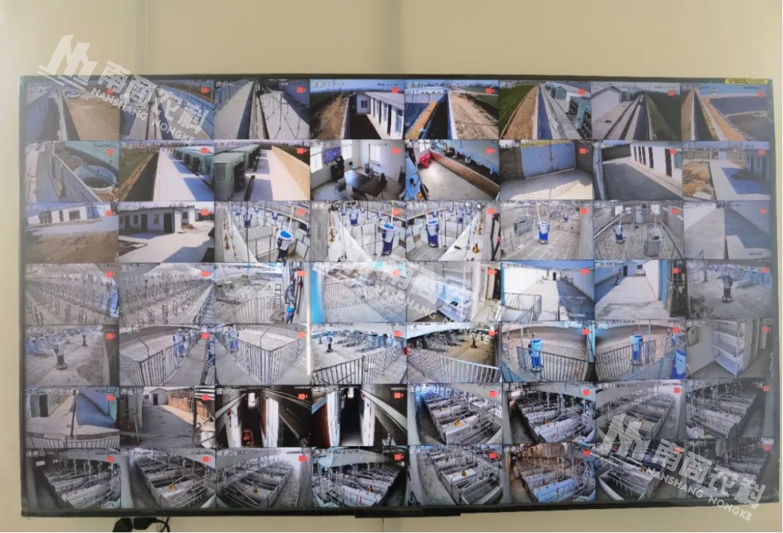 上圖為安全防疫系統-監控大屏