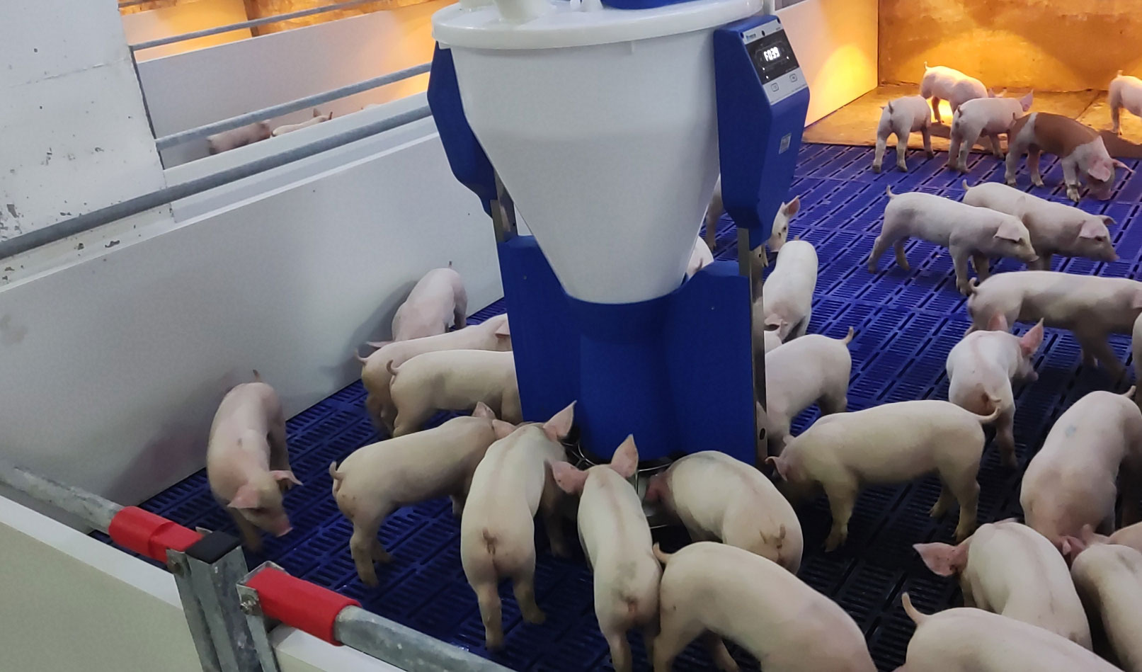 小智館-保育機,智能粥料器