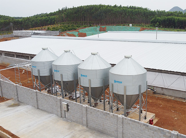 養豬場如何選用料塔